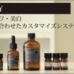 カスタマイズシステム